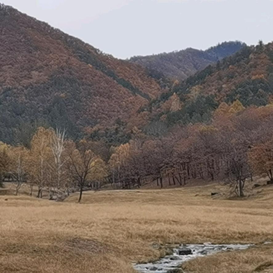 童宝2号
