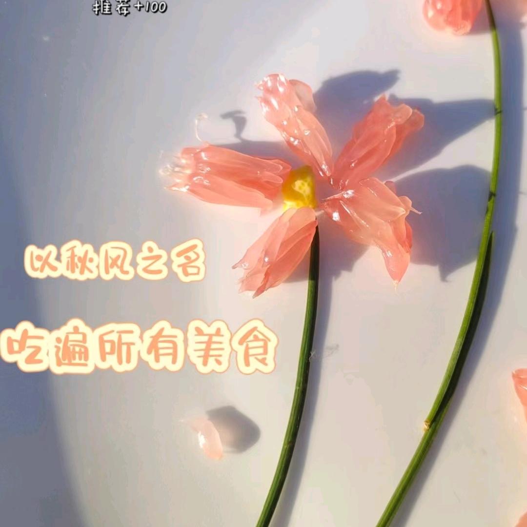 花卷是只熊