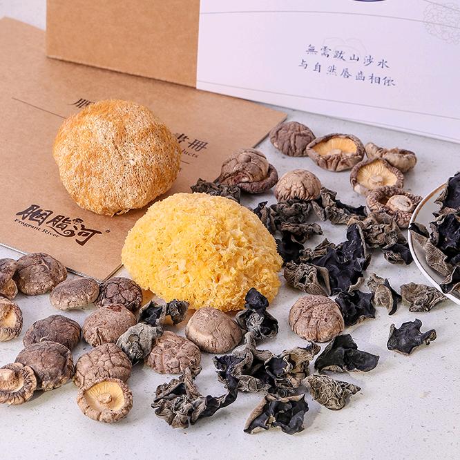 河南垄润农业科技股份有限公司