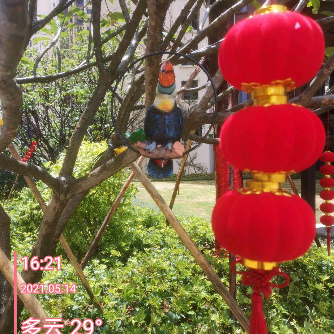 期^0^待@