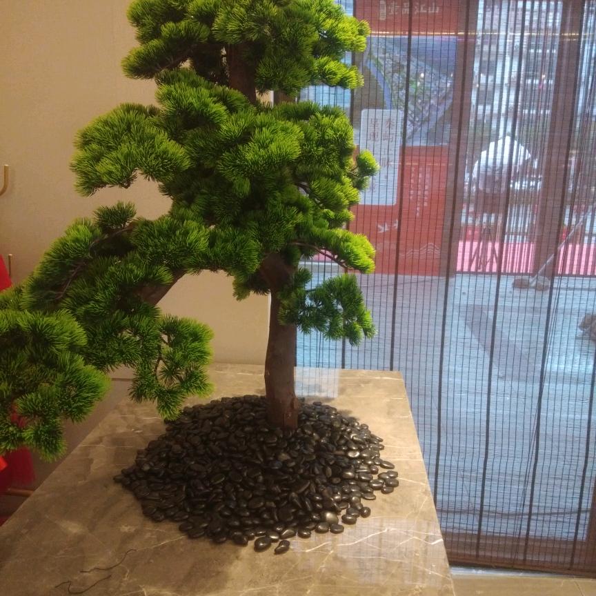 林华