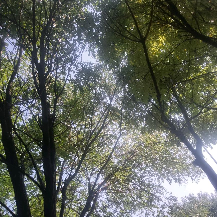 自由人，互相关注