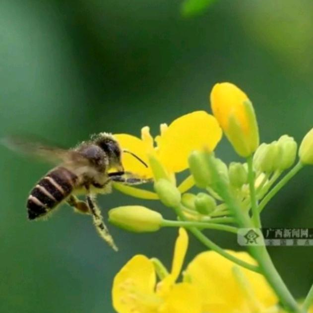 欣怡好物