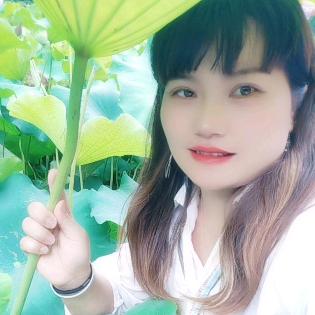 平和丽丽《忘情果》《回过头》