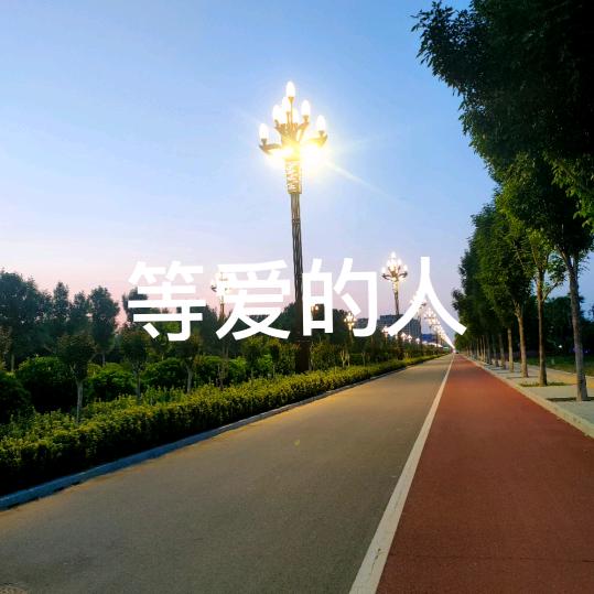 爱已走；情难留