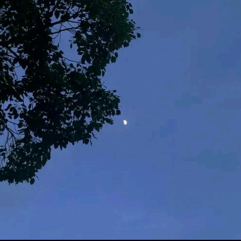 高山流水觅抖音