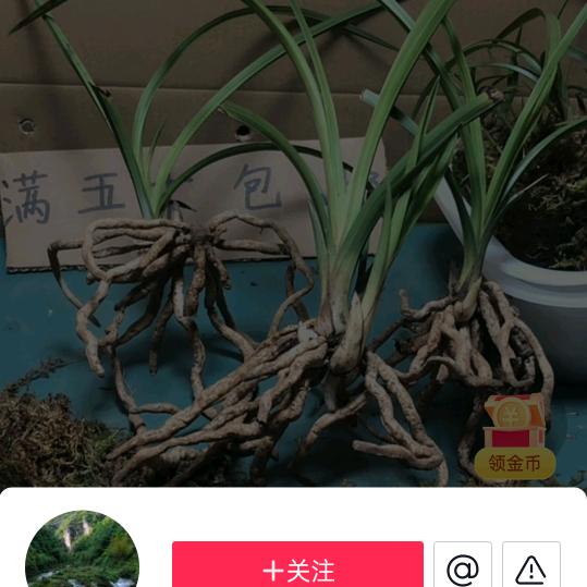 平淡无奇