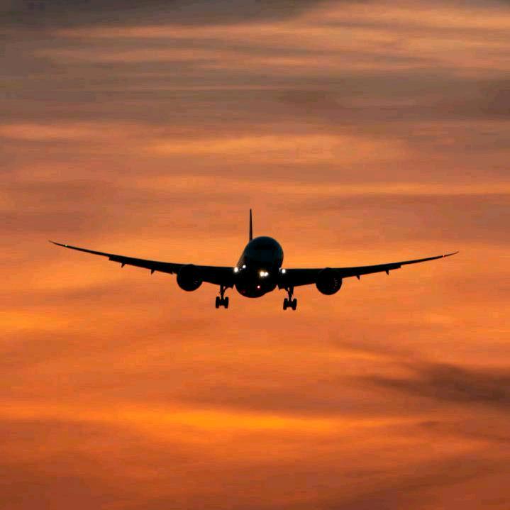 二湿兄-(见过王小黑版)