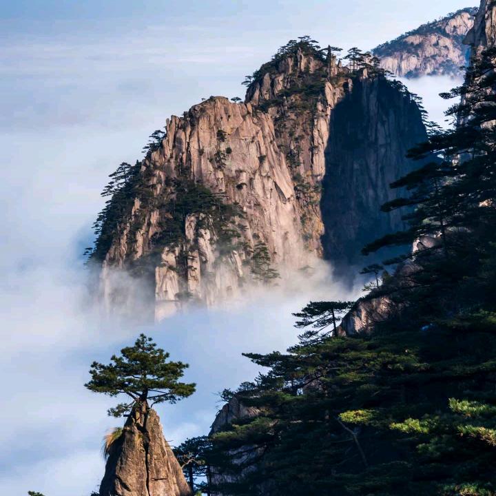 前程似锦