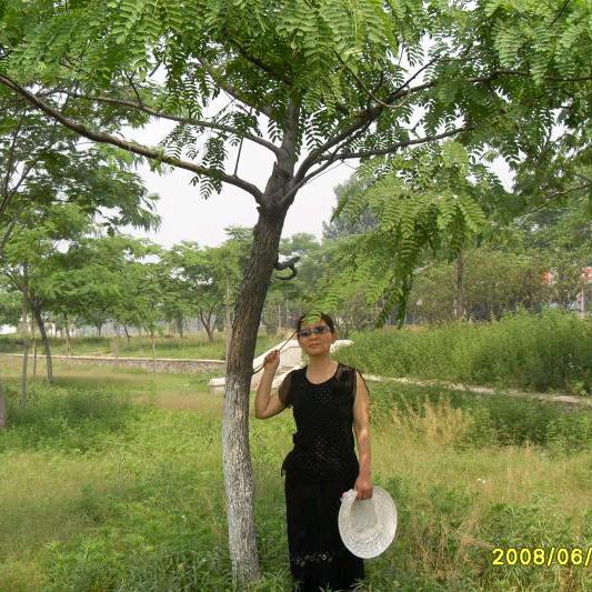 我开心，我快乐。