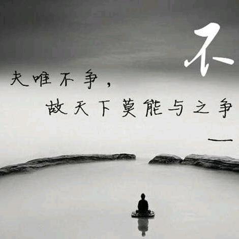 夜太美