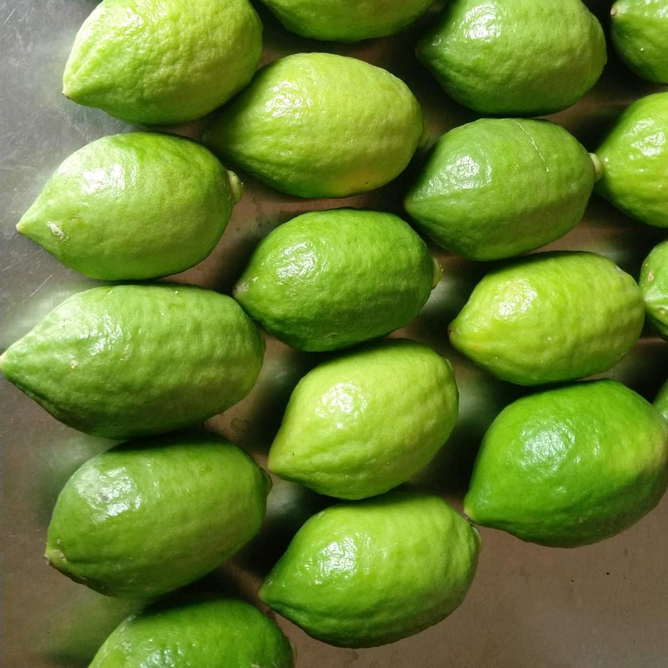 蒙山县玲玲奶茶店