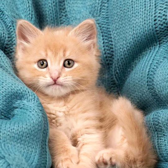 那抹刺眼的阳光╯