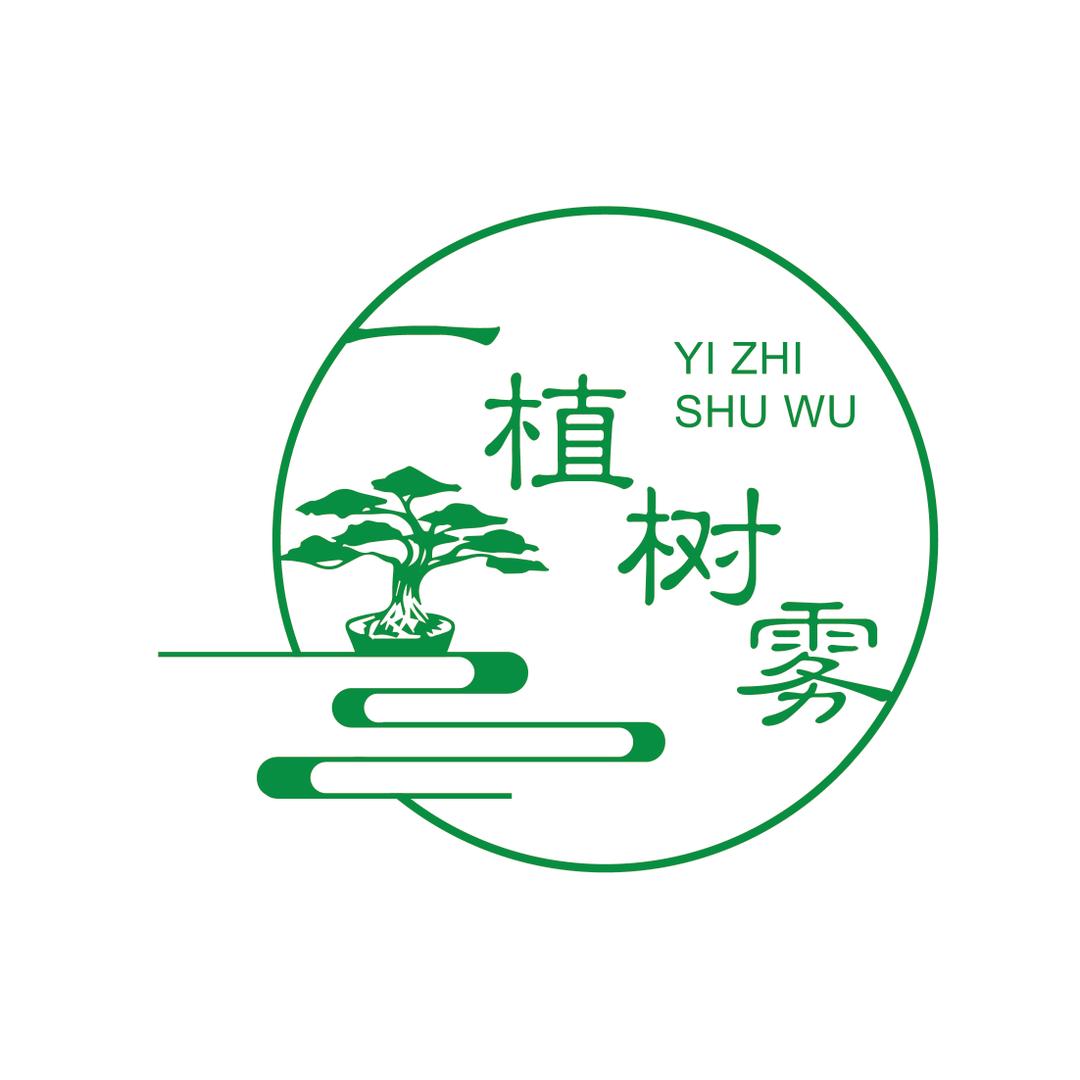 老兵海岛树盆景