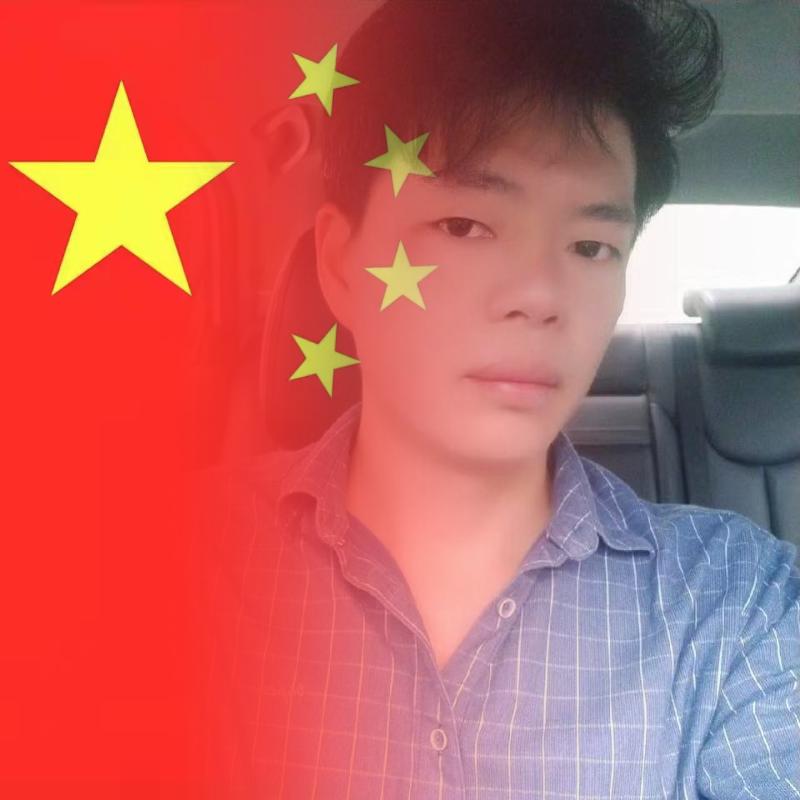 爱国小蚂蚁