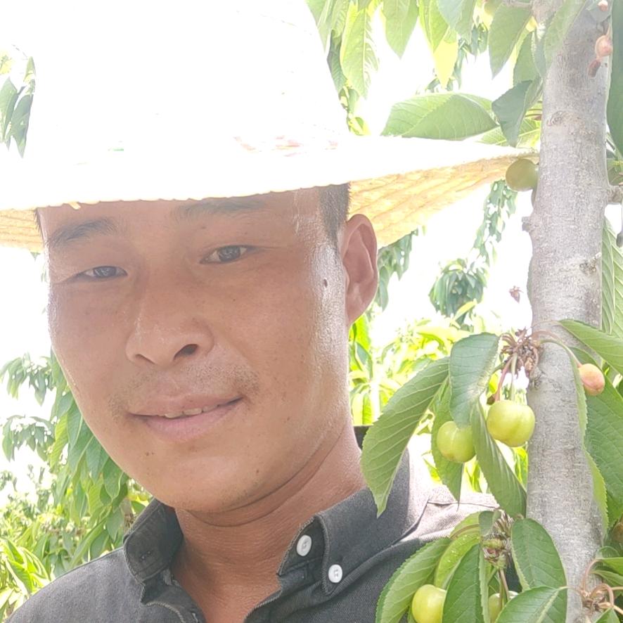 八零果农