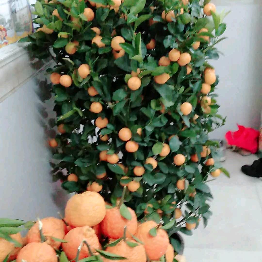 幸福满满