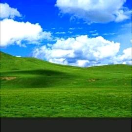 阳光明媚