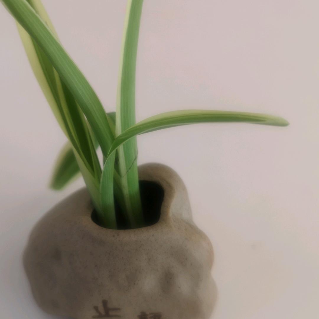 翻山越海来看你