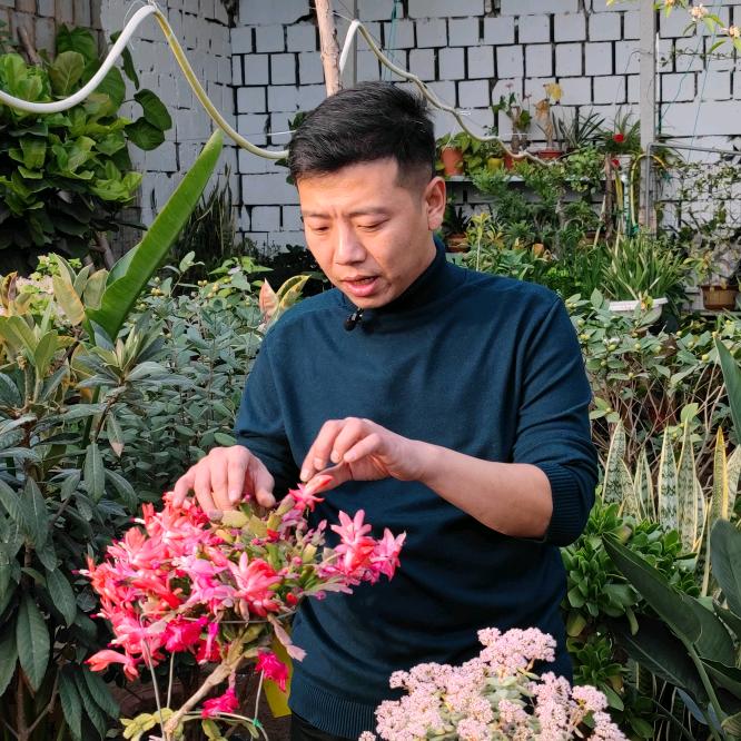 养花匠小齐