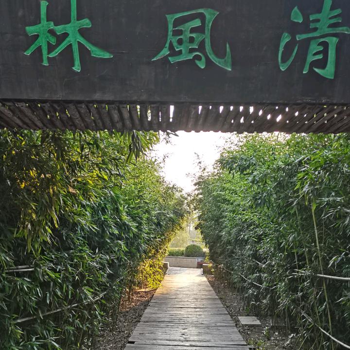随缘