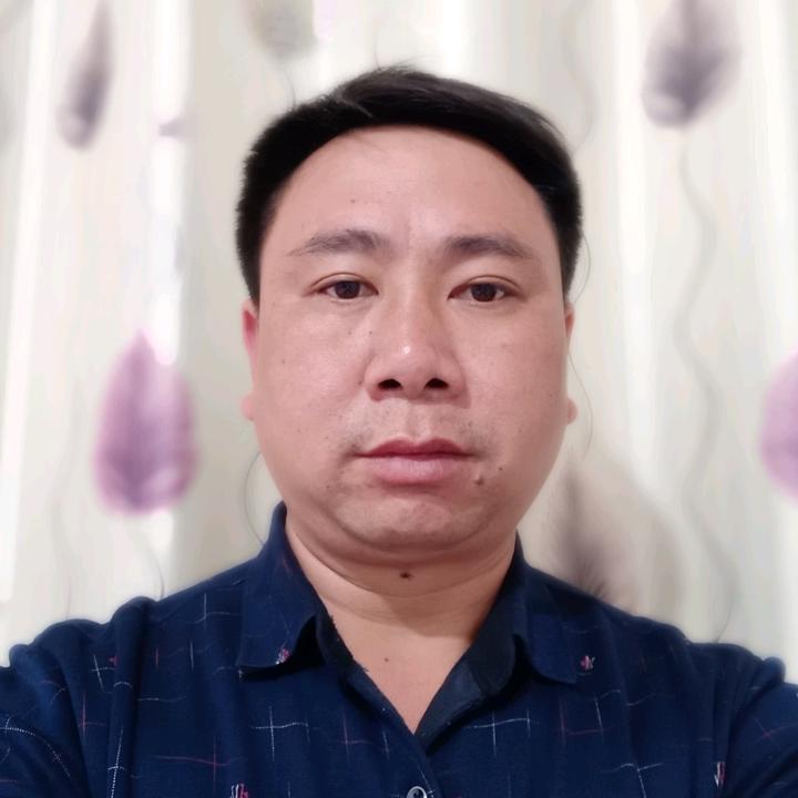 自由如风