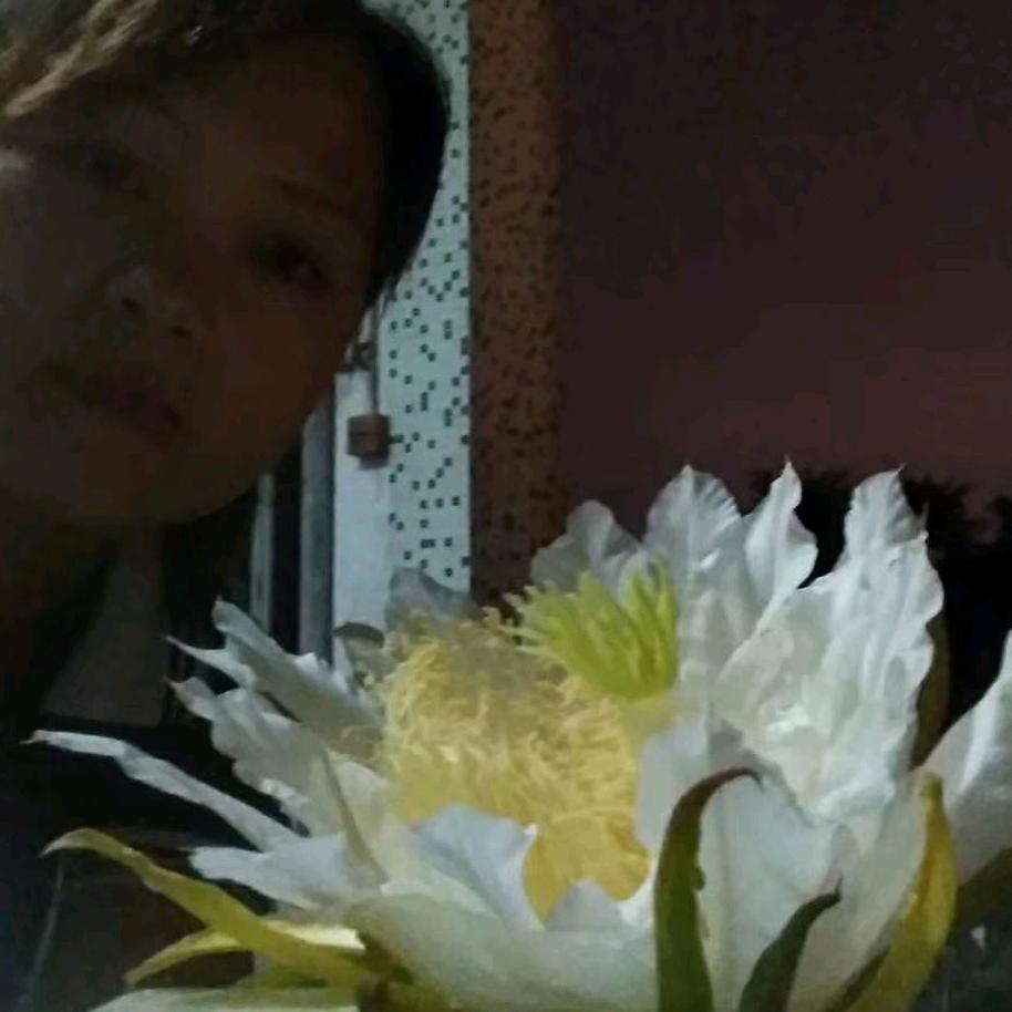 幸福之花