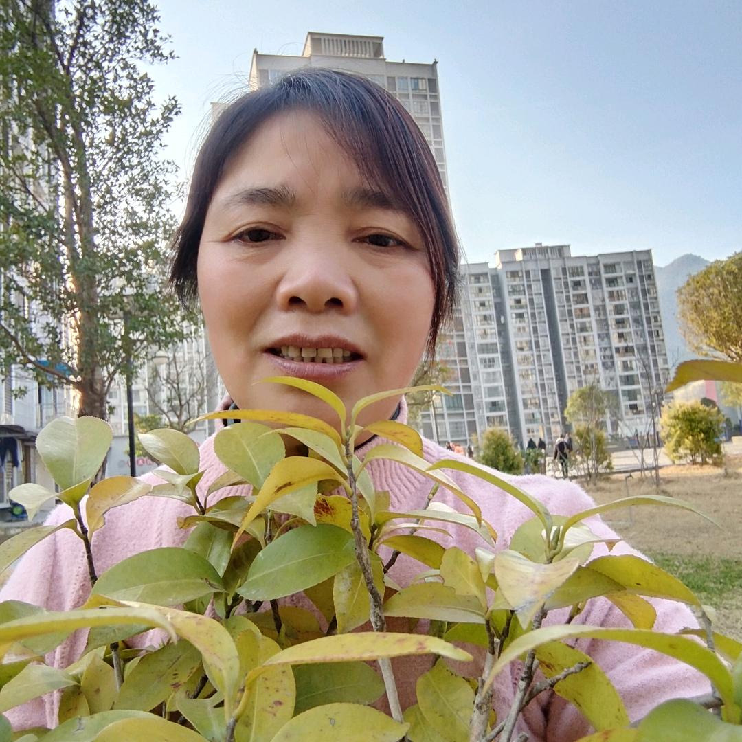 邓姐🍀🍀