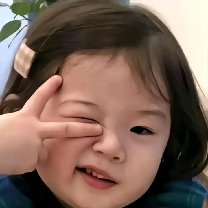洋柿子