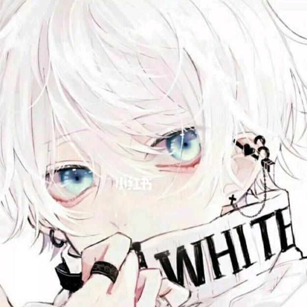 雪鹰