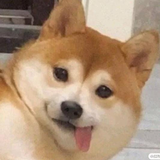 苟勾有什么坏心思