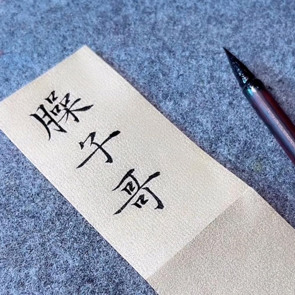 臊子哥