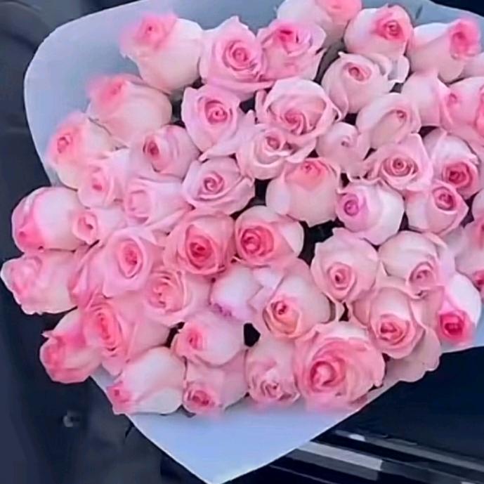 💕阿英