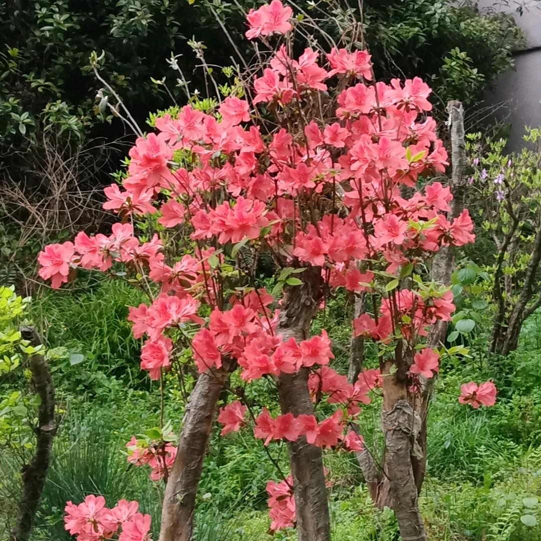 最熟悉的陌生人！