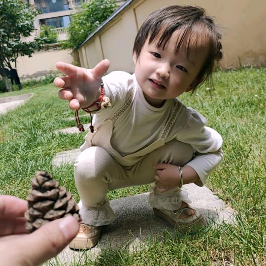 小蛋壳