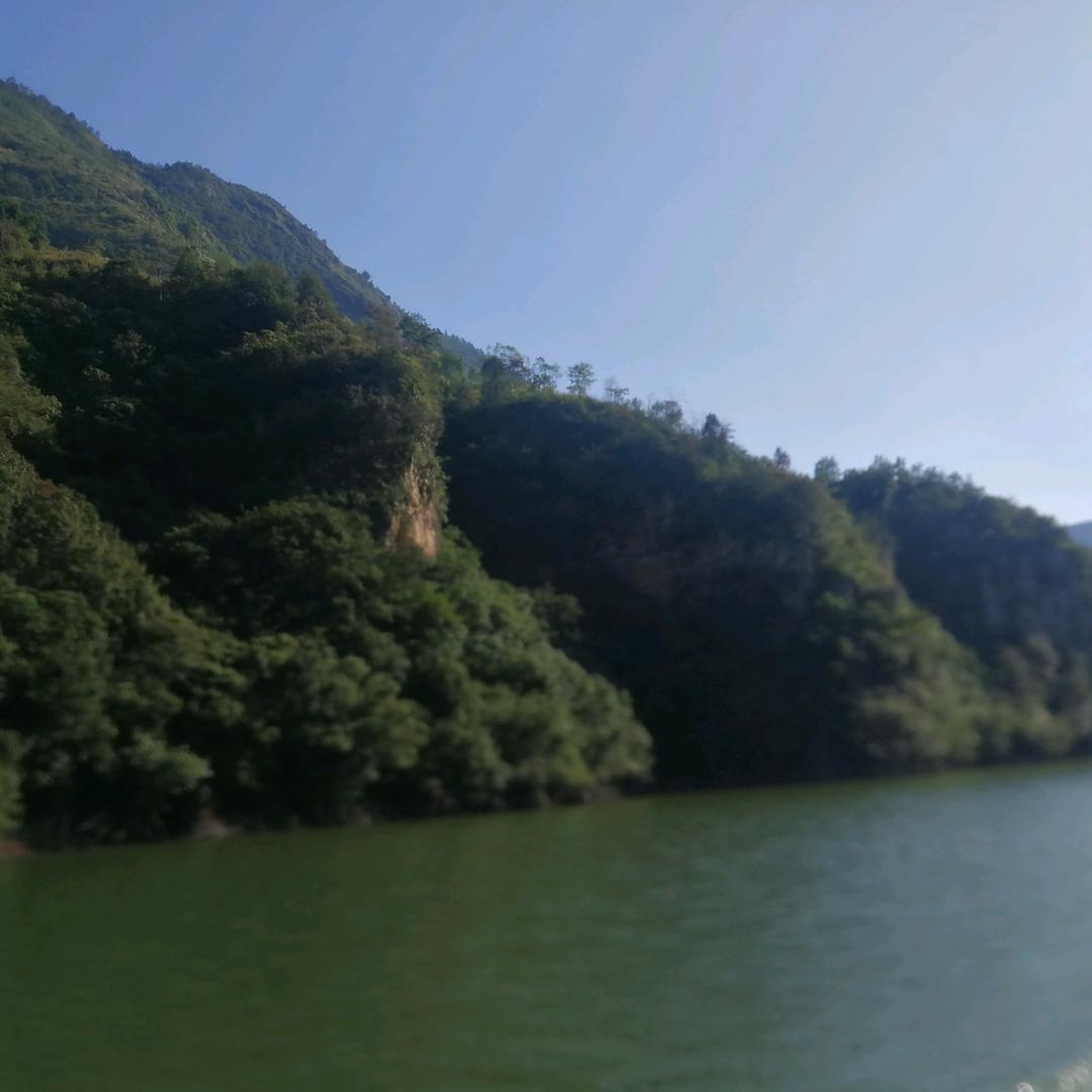 迈克尔乔贵