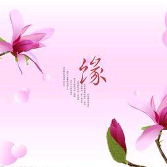 成俞落燕🍀🍀🌷🌷