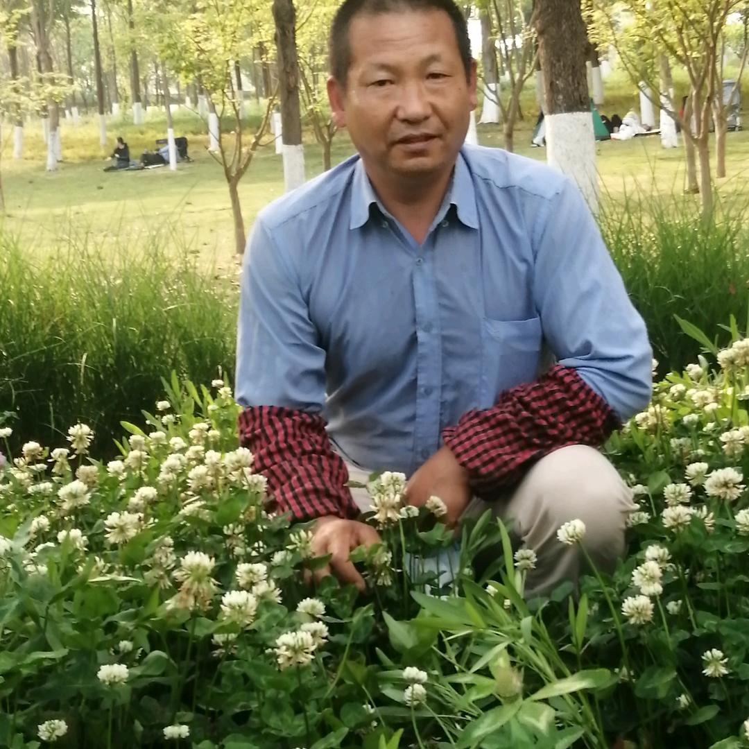 朱志书