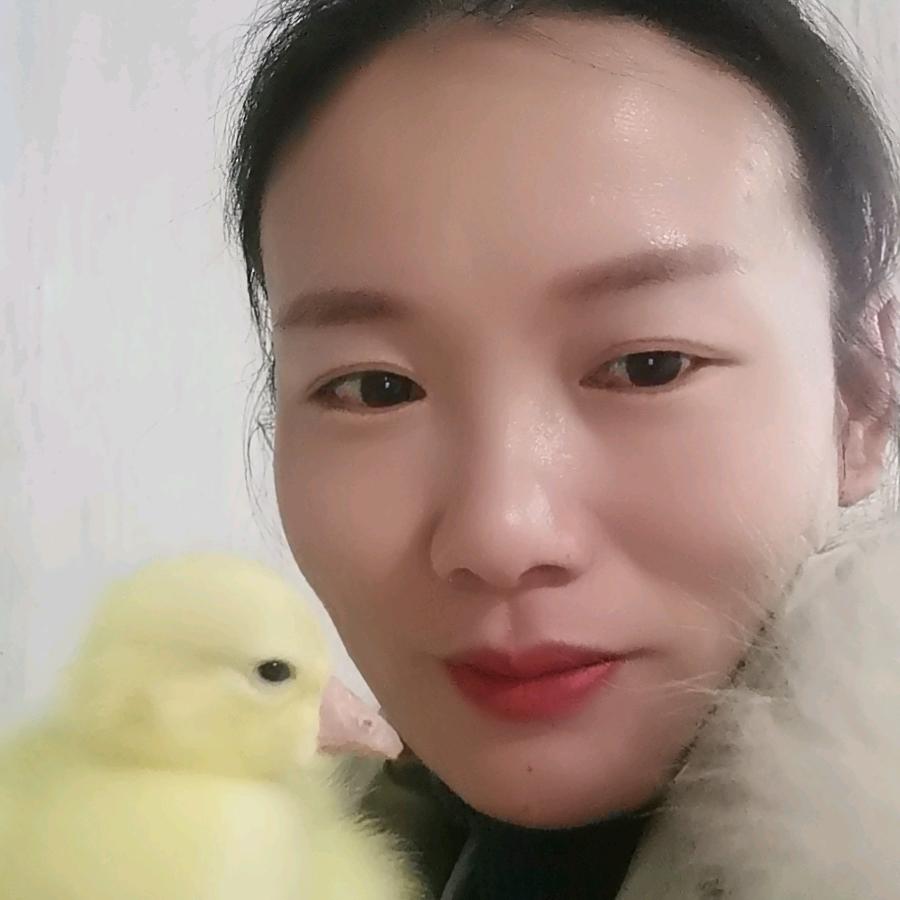 吕二姐鹅苗孵化场