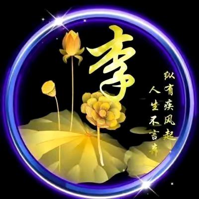 习惯孤独，享受安静……