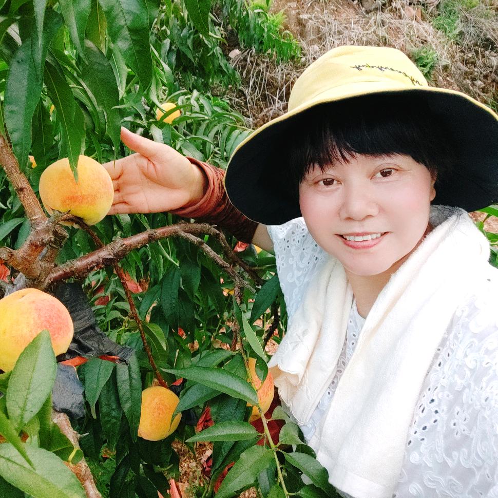 韵姿黄桃