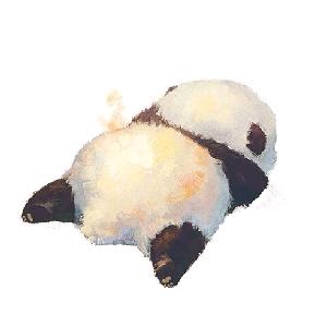 Panda胖达大侠