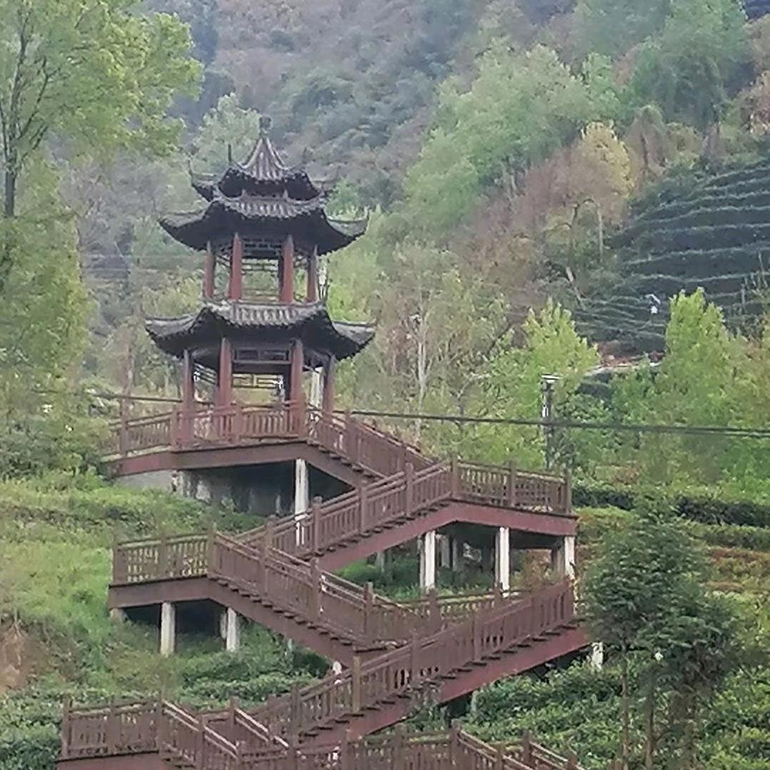 陕西娃