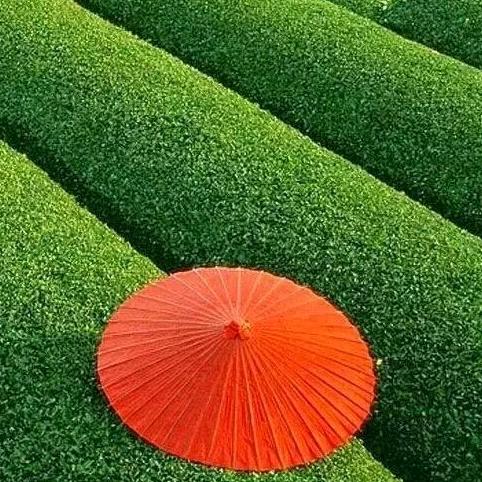 皇上