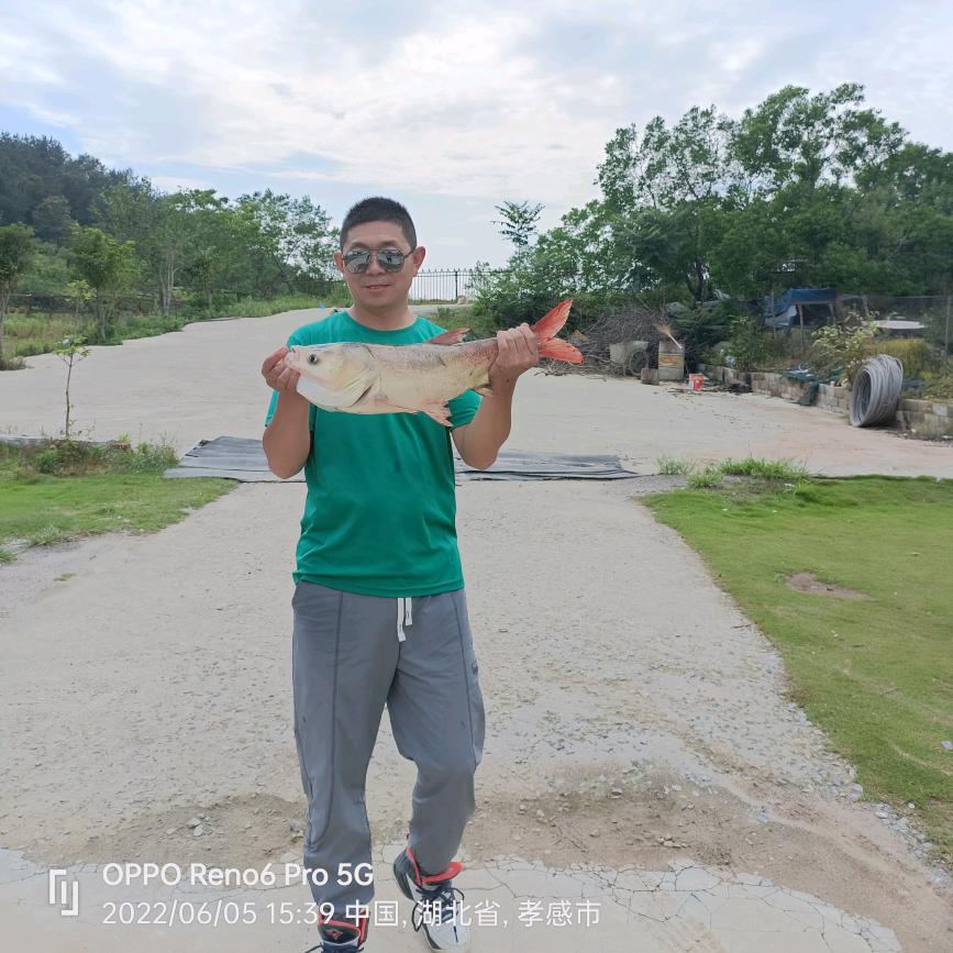 仙居顶云乐山庄徐响