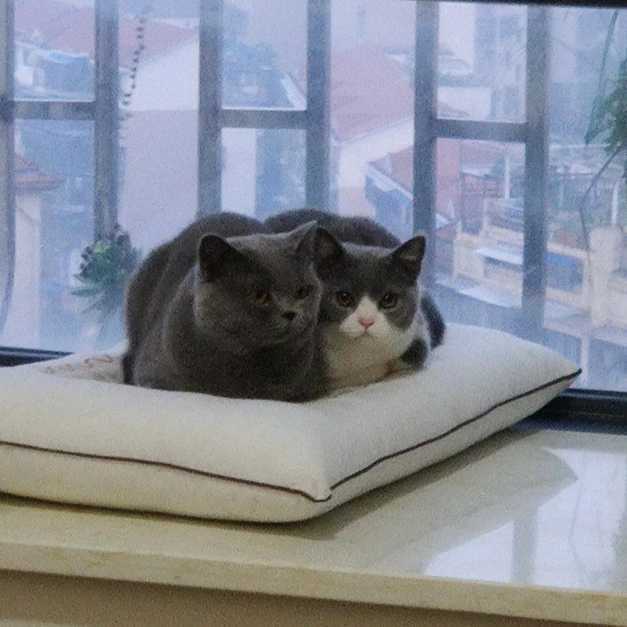 汤姆克鲁斯