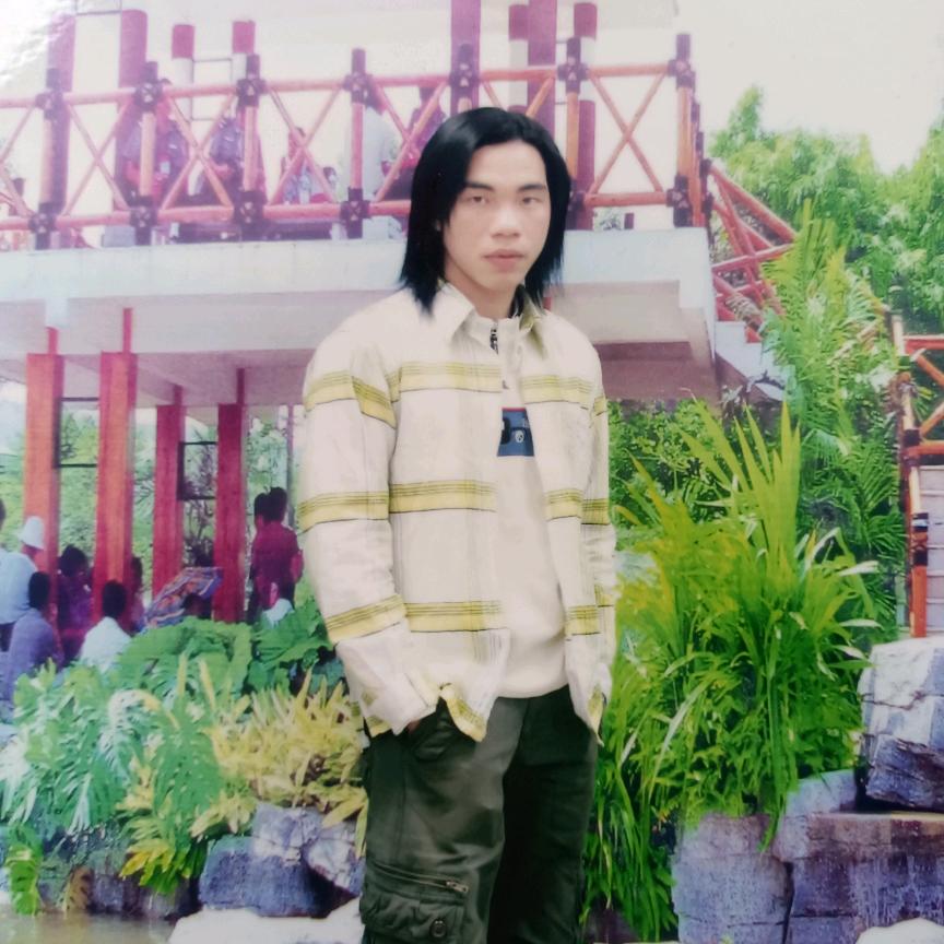 蜂的诱惑