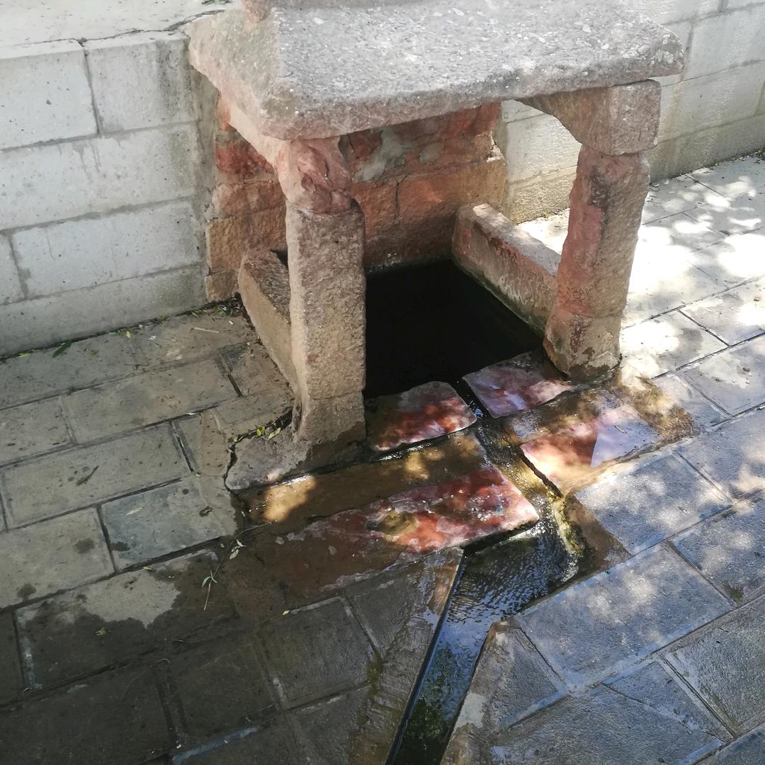 丽江运哥