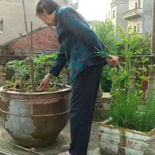 开心老太太
