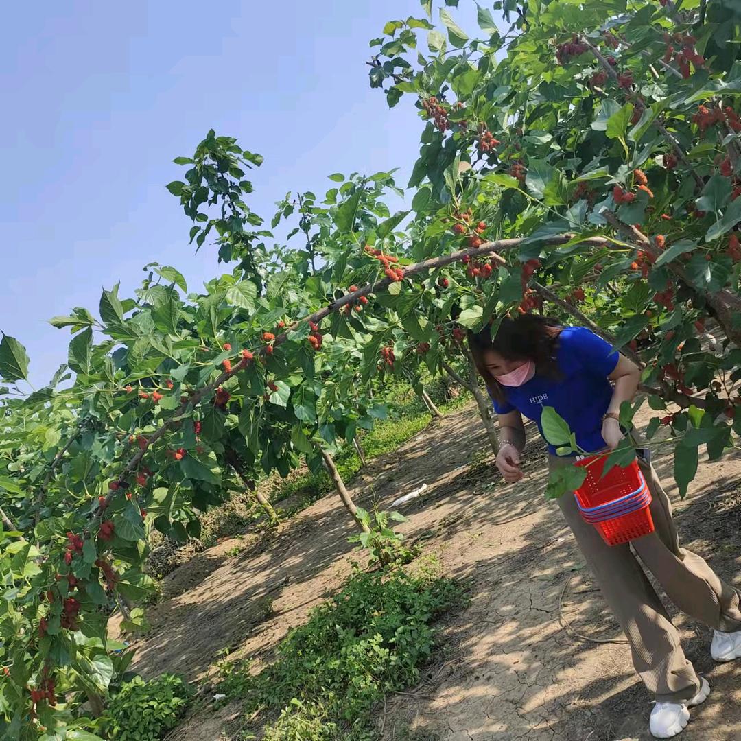 (๑><๑）执着(๑><๑）